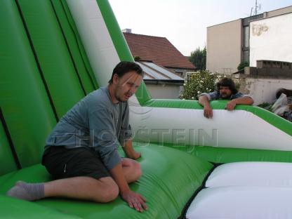 Moucha v pavučině
