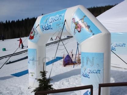Brána FIS